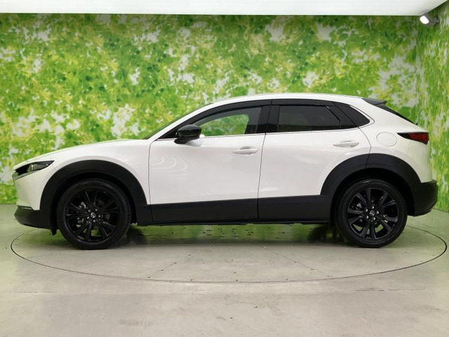 CX-302.0 20S ブラックトーンエディション