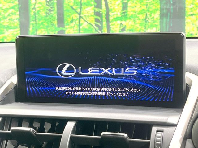 NX300h