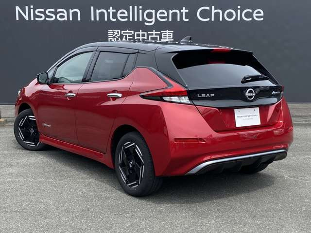 リーフe+ X