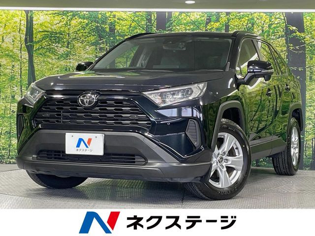 RAV42.0 X