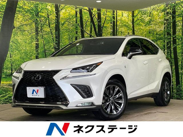 NX300 クール&ブライト