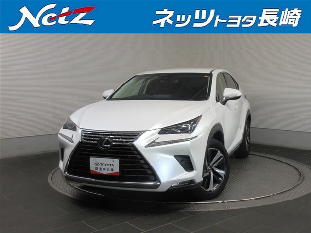 NX300h バージョンL