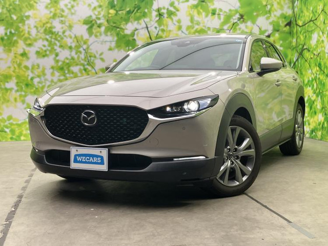 CX-302.0 20S プロアクティブ ツーリングセレクション