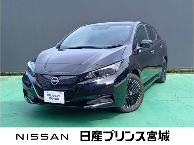 リーフ