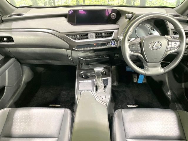 UX250h バージョンC