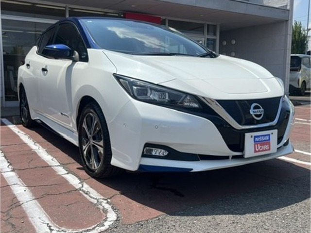 リーフG