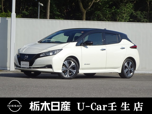 リーフ