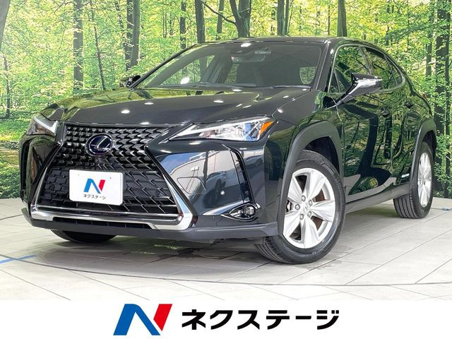 UX250h バージョンC