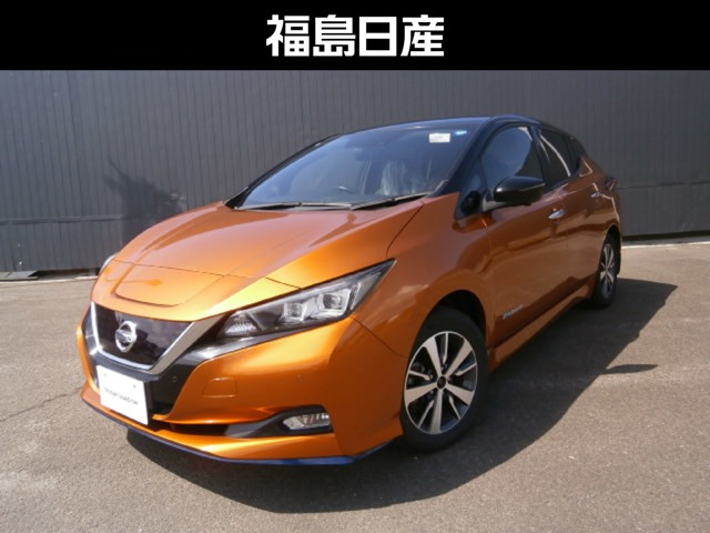 リーフe+ X