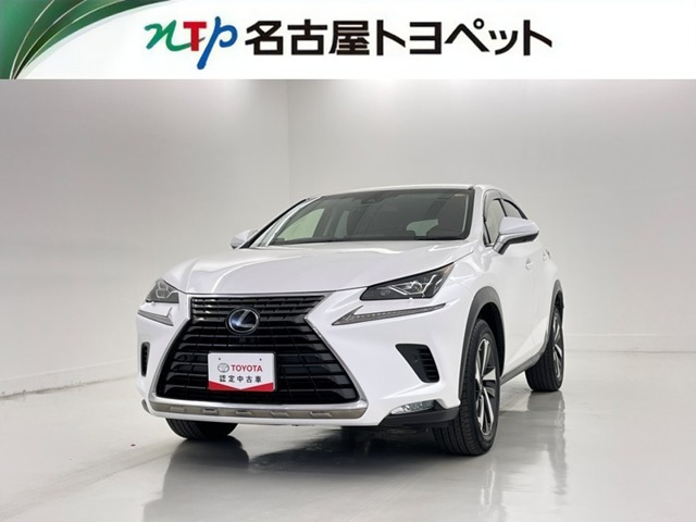 NX300 Iパッケージ