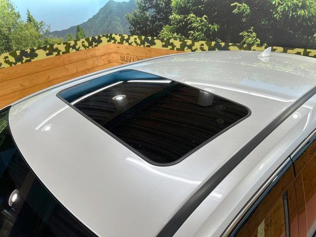 NX300h バージョンL