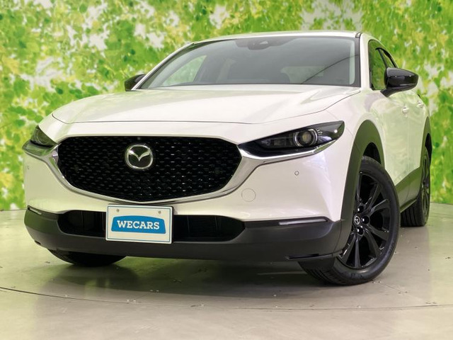 CX-302.0 20S ブラックトーンエディション