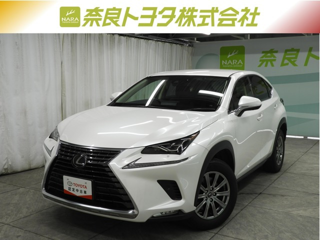 NX300 Iパッケージ