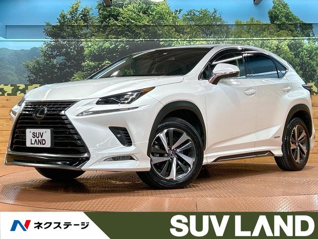 NX300h バージョンL
