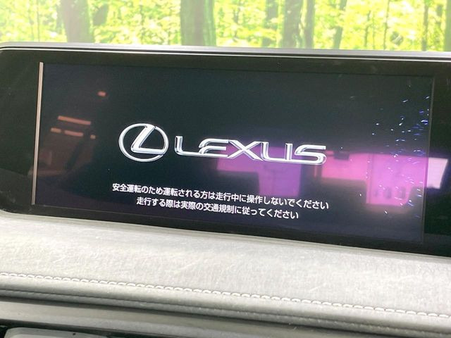 UX250h バージョンC