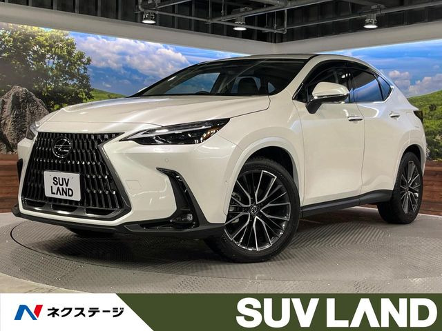NX350h バージョンL