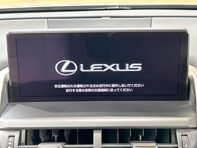 NX300