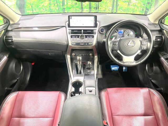 NX300h
