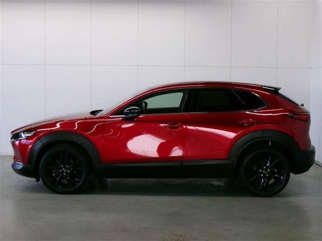 CX-302.0 20S ブラックトーンエディション