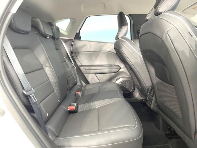 ���㕔���Ȃ��C�ɂȂ�悤�ȃL�Y�E�����ւ��蓙�A�傫�ȃ_���[�W�͂Ȃ��A�ǍD�ȏ�Ԃł��B