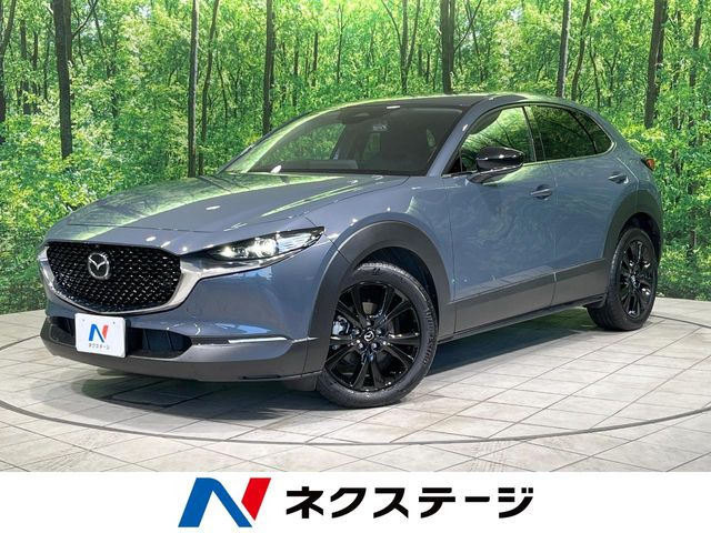 CX-302.0 20S ブラックトーンエディション