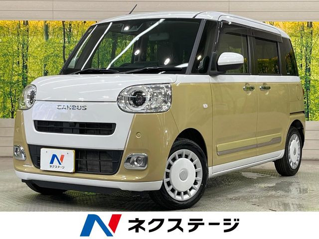 ムーヴキャンバスストライプス G