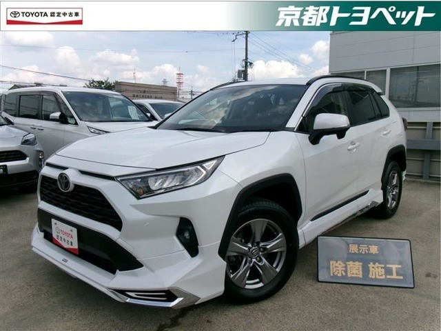 RAV42.0 X