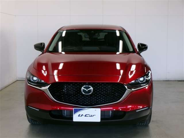 CX-302.0 20S ブラックトーンエディション