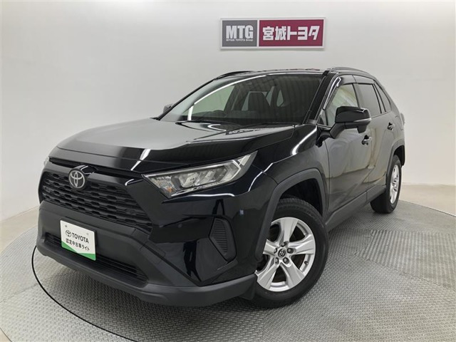RAV42.0 X