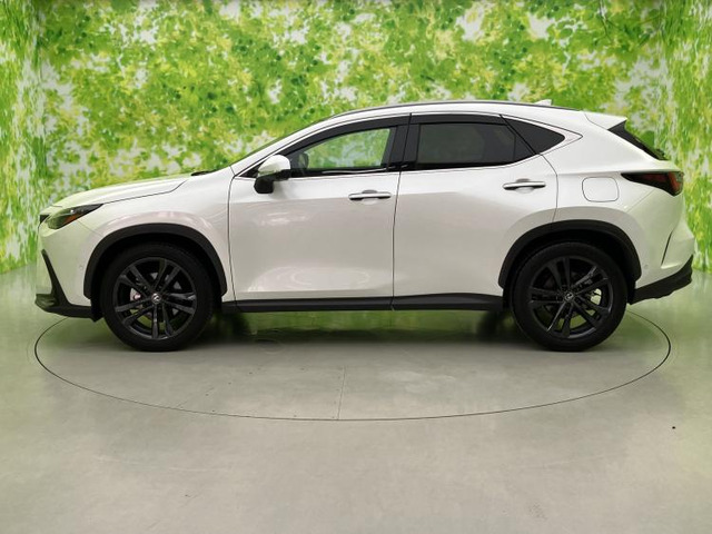 NX350h バージョンL