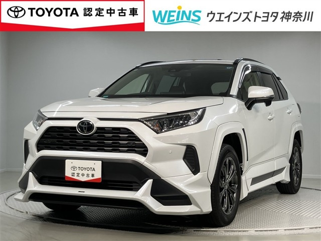 RAV42.0 X