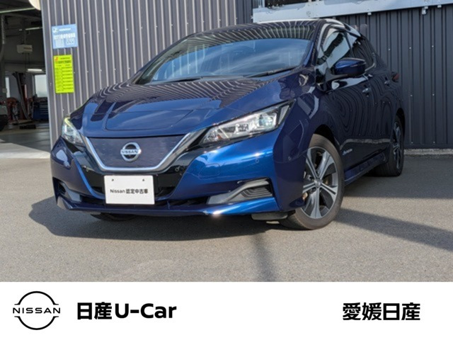リーフX