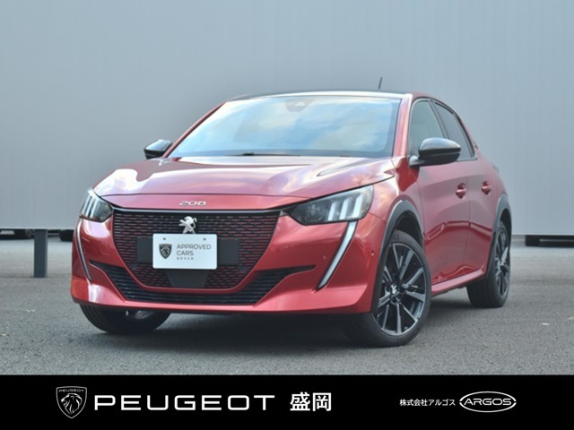 e-208GT