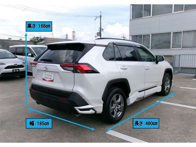 RAV42.0 X