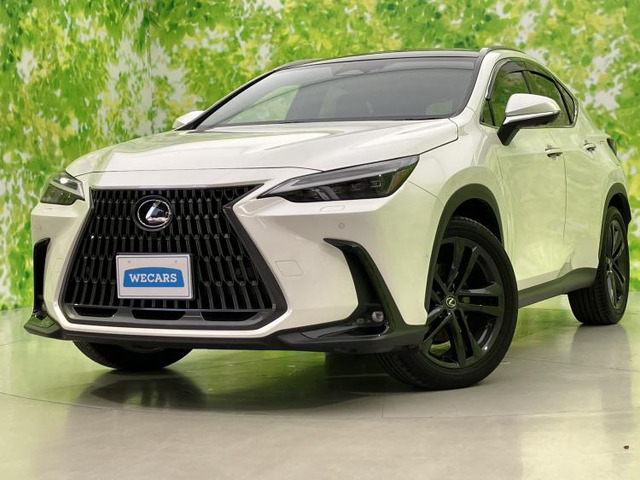 NX350h バージョンL