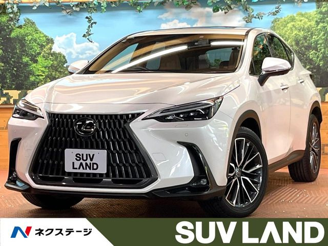 NX450hプラス バージョンL 4WD