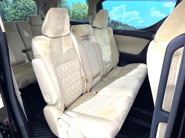 �㕔���Ȃ��C�ɂȂ�悤�ȃL�Y�E�����ւ��蓙�A�傫�ȃ_���[�W�͂Ȃ��A�ǍD�ȏ�Ԃł��B