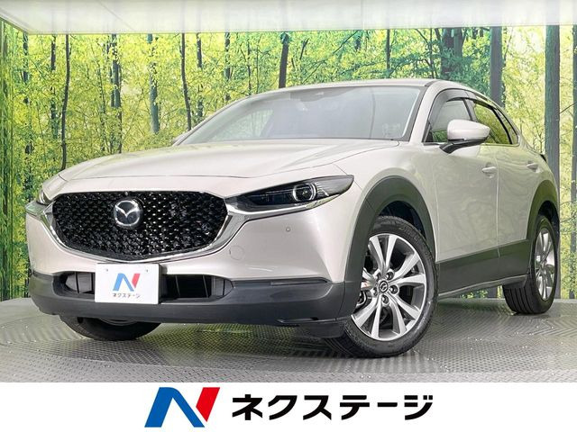CX-302.0 20S プロアクティブ