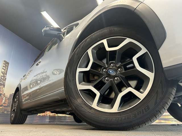 ����17�C���`�A���~�z�C�[��!�A���~�̃R�[�e�B���O��������܂�!���ꂪ���ȃA���~�z�C�[�������S�ł�!!
