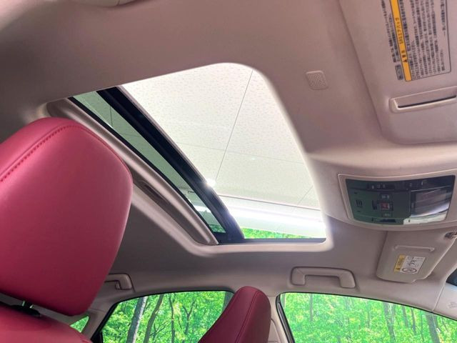 NX300h Iパッケージ