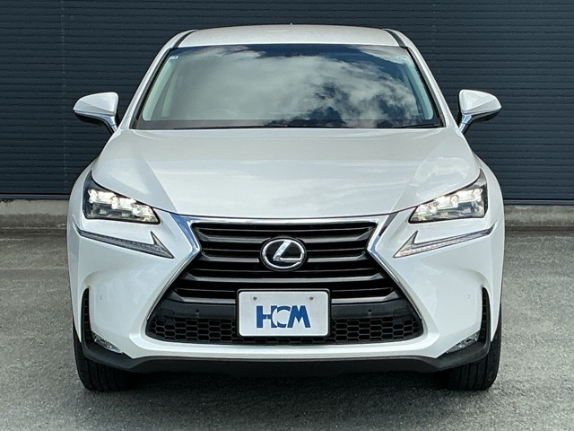 NX300h バージョンL