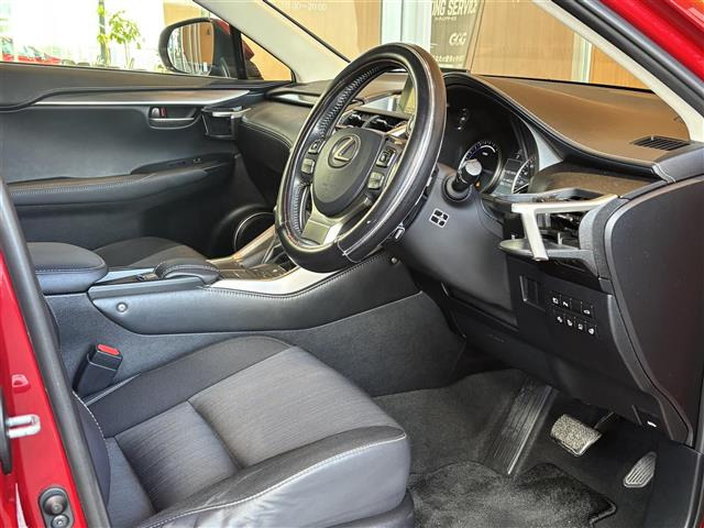 NX300h