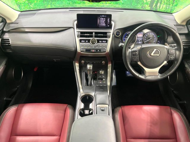 NX300h Iパッケージ