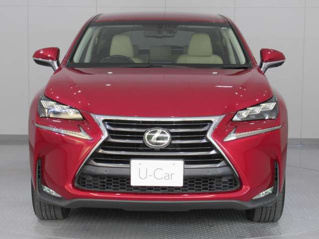 NX200t Iパッケージ