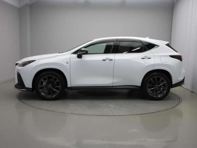 NX350h Fスポーツ