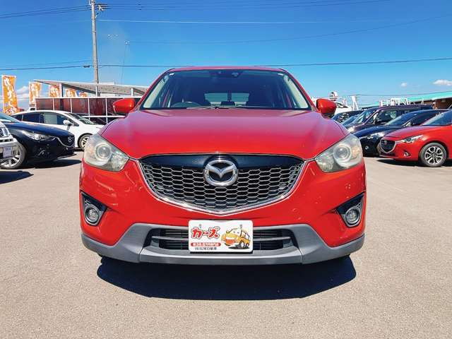 WEB�ETEL���k�s�Ȃ��Ă���܂�!�����X���������Ȃ��Ă����k�E���w���\�ł�!���C�y�ɓX���ւ��⍇������������
