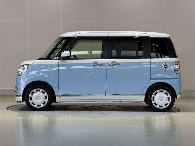 ムーヴキャンバスG メイクアップ SAIII