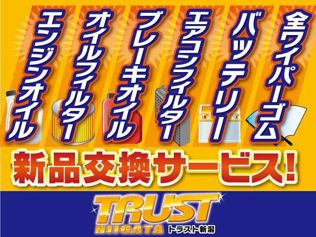 ティアナ2.5 XL ナビAVMパッケージ