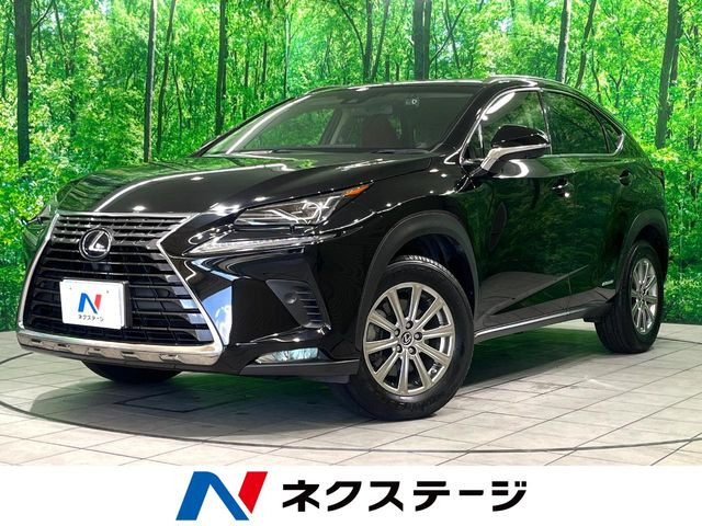 NX300h Iパッケージ