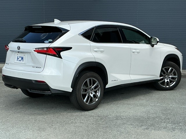 NX300h バージョンL